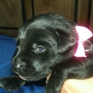 Meet your Posher, Patti